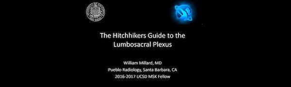 lumbosacral-plexus.jpeg